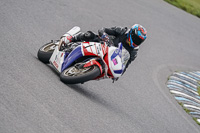 enduro-digital-images;event-digital-images;eventdigitalimages;lydden-hill;lydden-no-limits-trackday;lydden-photographs;lydden-trackday-photographs;no-limits-trackdays;peter-wileman-photography;racing-digital-images;trackday-digital-images;trackday-photos